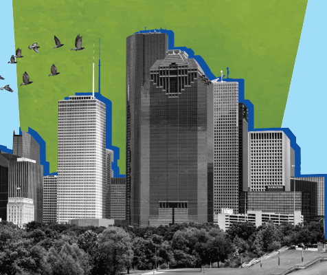Stylized graphic of the Houston skyline