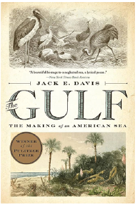 Book cover of The Gulf: The Making of an American Sea — Jack E. Davis 