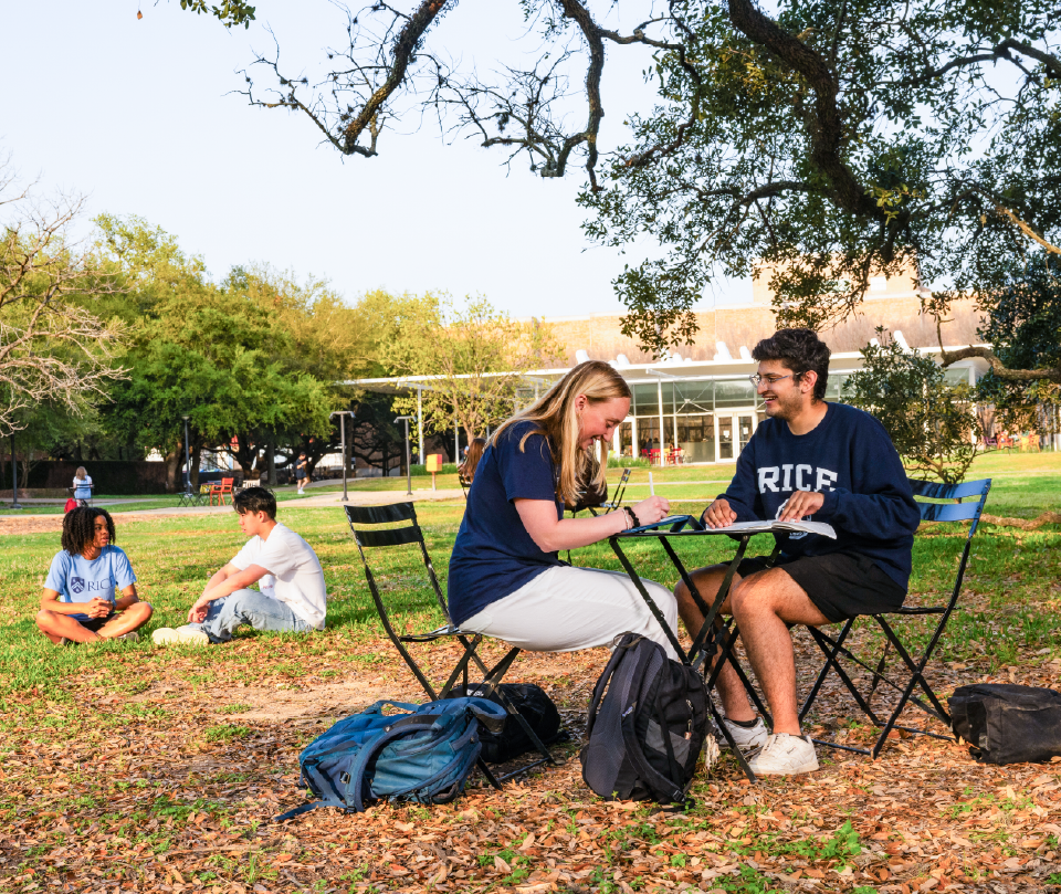 Students studying outside