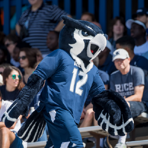 Sammy the Owl at a football game